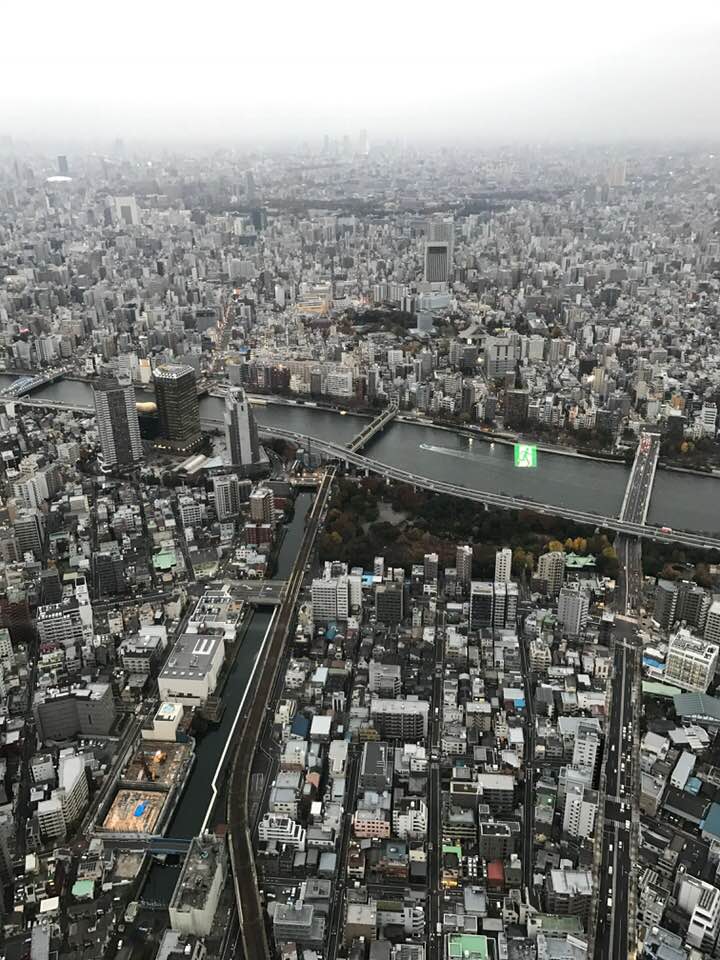 30740529_10155575184607061_3086222924975844962_n